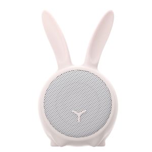 WSRABBIT-Galeria-1