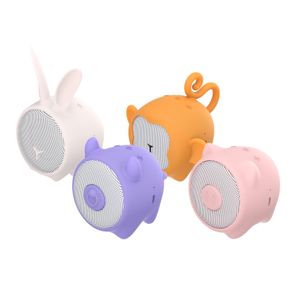 WSRABBIT-Galeria-4