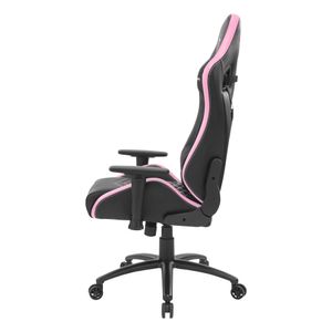 MGCXNEOBPK-Galeria-2
