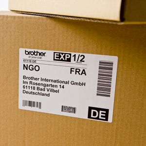 DK11202-Galeria-2