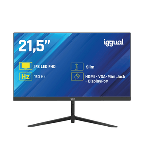 IGGUAL-Monitor-215--IPS-1ms-FHD-120Hz-VGA-HDMI-DP---21.5--LED-IPS-Full-HD-HDMI-VGA