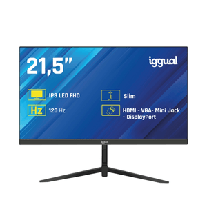 IGGUAL-Monitor-215--IPS-1ms-FHD-120Hz-VGA-HDMI-DP---21.5--LED-IPS-Full-HD-HDMI-VGA
