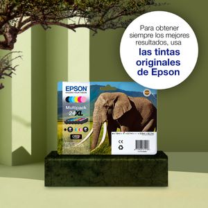 C13T24234012-Galeria-3