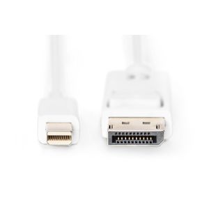 AK-340102-020-W-Galeria-2