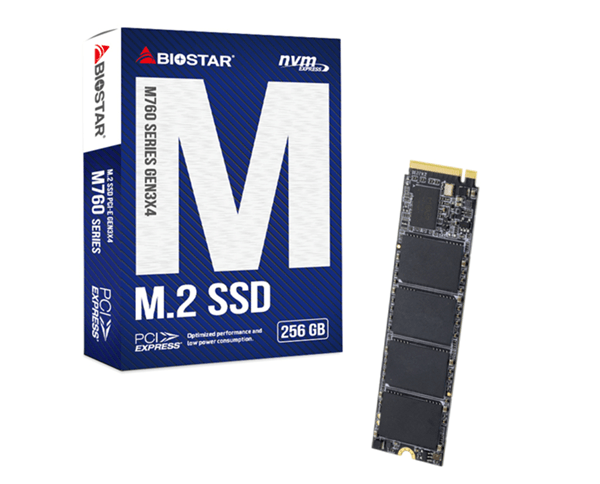 BIOSTAR M760 SSD 256GB M.2 3200MB/s PCI Express 4.0 NVMe