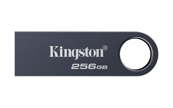 KINGSTON 256GB DataTraveler SE9 G3 - Dark Nickel