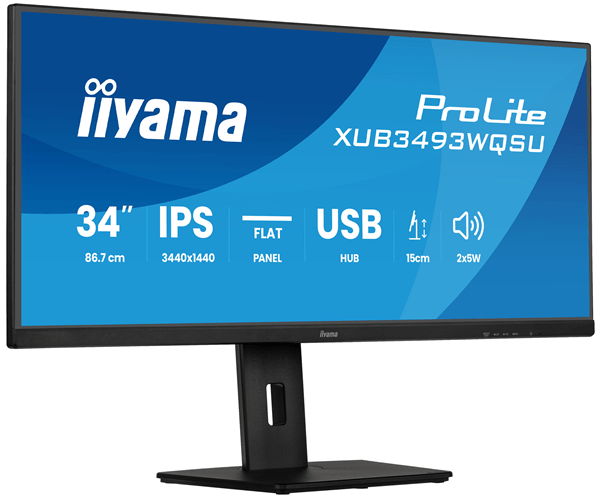 IIYAMA XUB3493WQSU-B6 ProLite 34" LED IPS UltraWide Quad HD HDMI Altavoces