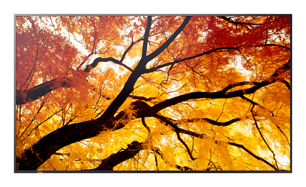 MONITOR SHARP M432 MultiSync 42.5" IPS 3840 x 2160 HDMI Altavoces