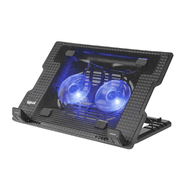 iggual Refrigerador portátil 2 ventiladors RP2V17A