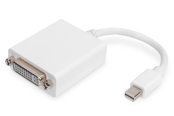 Cable adaptador DisplayPort mini DP - DVI (24+5) M/H 0 15 m compatible con DP 1.1a CE we