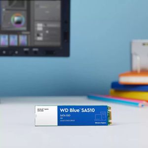 WDS100T3B0B-Galeria-6