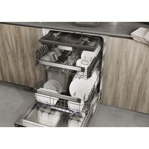 XIB-6B2D3FB-Galeria-7