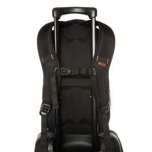 982570114040-Galeria-1