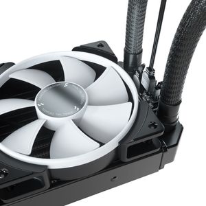 FD-W-2-S2401-Galeria-4