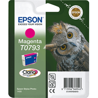 Ink/T0793 Owl 11.1ml MG