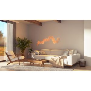 NL52-K-3002HB-13PK-Galeria-14