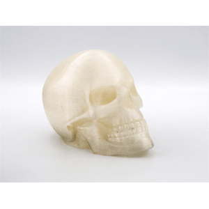 8435532910428-Galeria-3