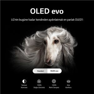 OLED55G26LA-Galeria-4