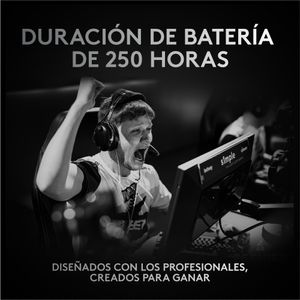 910-006785-Galeria-1