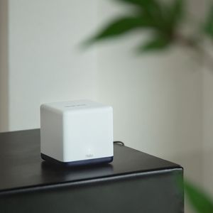 HALO-H50G-3-PACK--Galeria-4