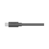 Miniatura 6 de MEETUP 10M MIC CABLE GRAPHITE WW