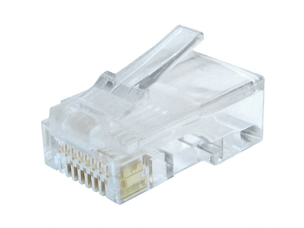 gembird conector rj45 cat.6 utp sólidos (100 uds.)
