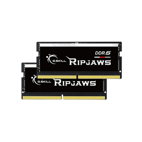 Memoria-RAM--Portatil-DDR5-32GB--4800Mhz---2x16---CL38--G-SKILL-Ripjaws-F5-4800S3838A16GX2-RS