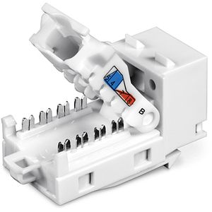 TC-K50C6-Galeria-3