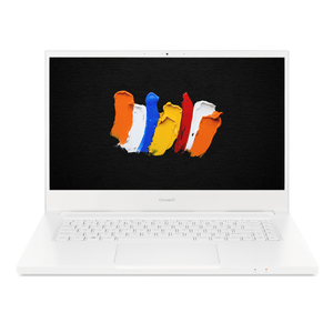 ConceptD CN315i5-10300H 8GB512GBSSDW10H