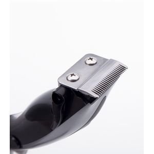 MP423-Galeria-4