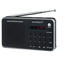 Portable digital AM/FM radio silver