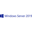 MS WS19 5USR CAL EMEA LTU