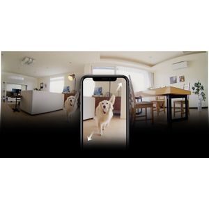 DCS-6500LH-E-Galeria-7