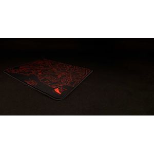 61881111807-Galeria-6